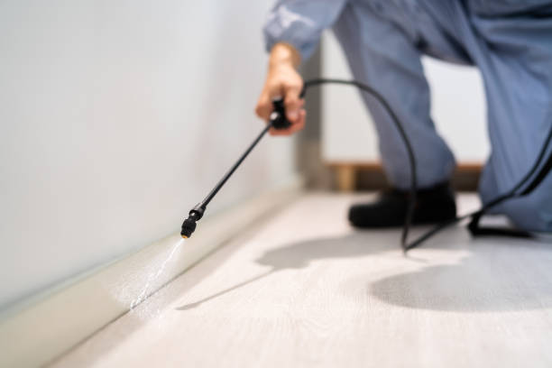 Certified termite inspector examining foundation in Fayetteville