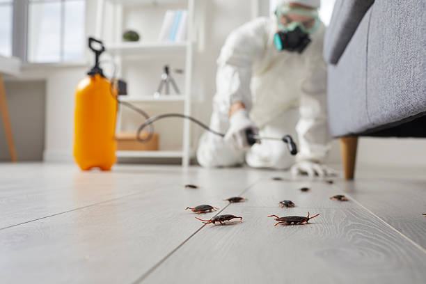 Commercial Rodent Management in Fayetteville